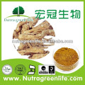 Chinese herb medicine Angelica Root Extract,herb medicine